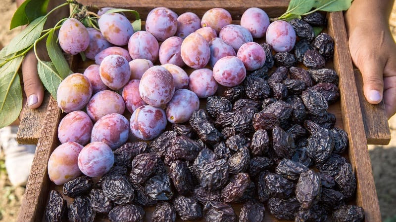 {title} ung thư,ung thư vú,quả mận,quả đào