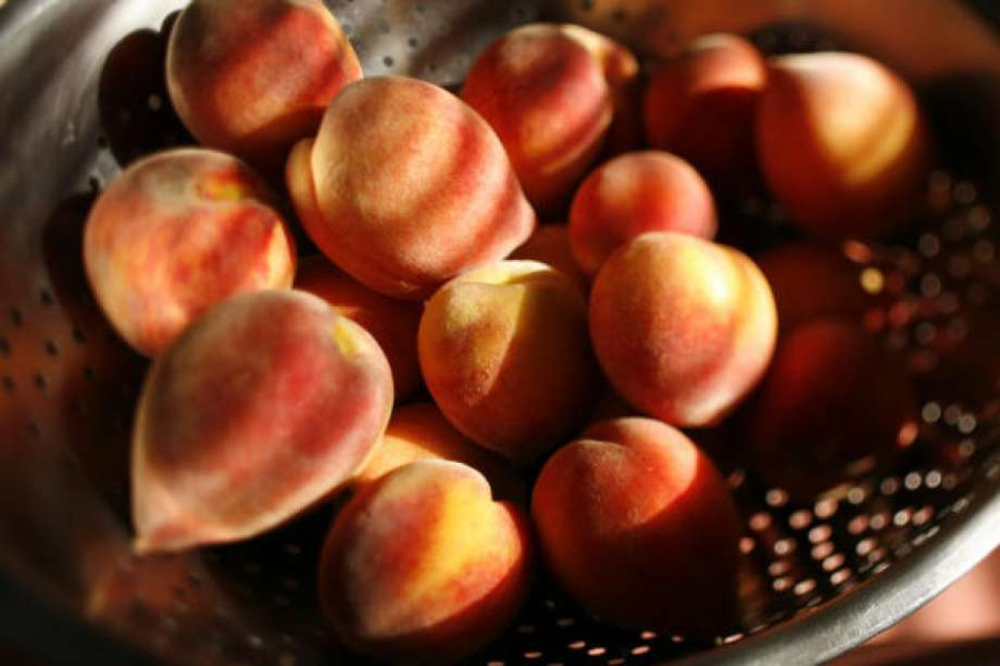 {title} ung thư,ung thư vú,quả mận,quả đào