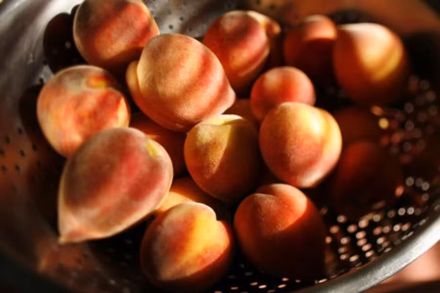 {title} ung thư,ung thư vú,quả mận,quả đào