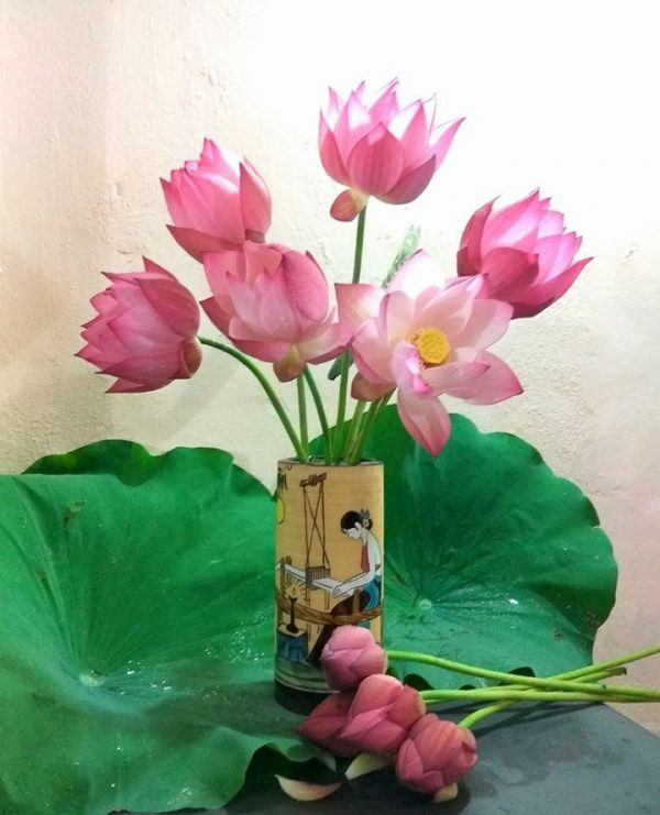 Cách chọn hoa đặt bàn thờ để thu tài nạp khí, gia đình hưng vượng ảnh 2 Cách chọn hoa đặt bàn thờ để thu tài nạp khí, gia đình hưng vượng ảnh 2