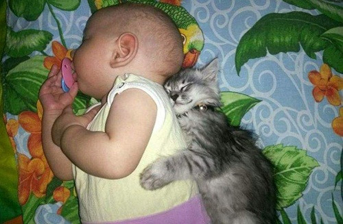 Giấc ngủ êm đềm.