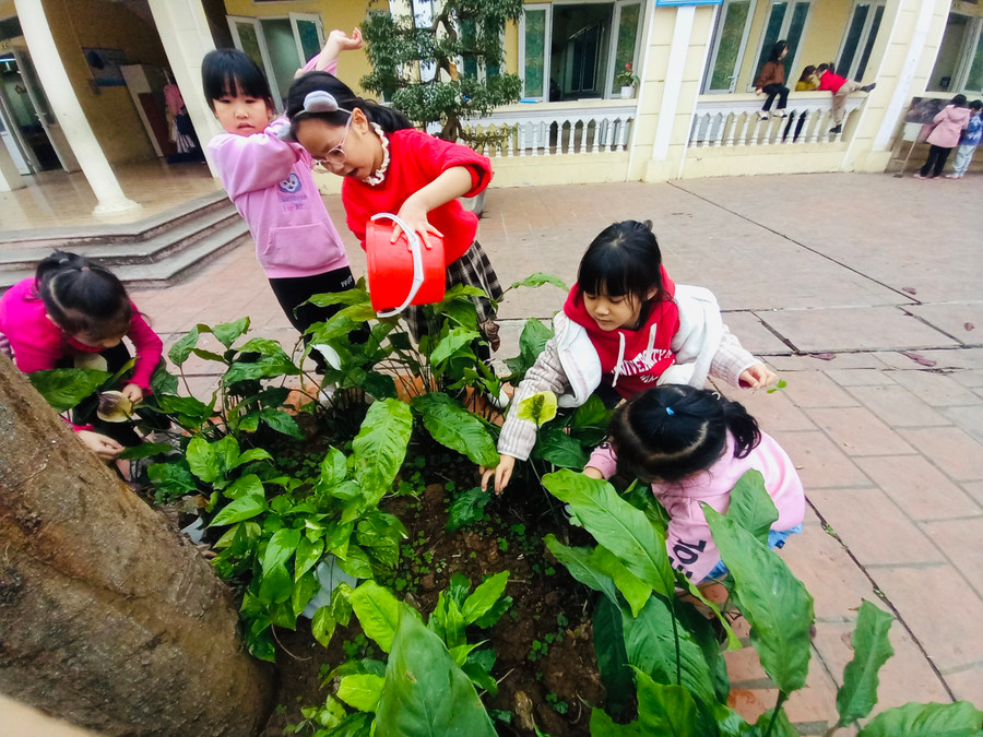 Các em học sinh tích cực tham gia chăm sóc, tưới nước cho các bồn cây tại sân trường. Các em học sinh tích cực tham gia chăm sóc, tưới nước cho các bồn cây tại sân trường.
