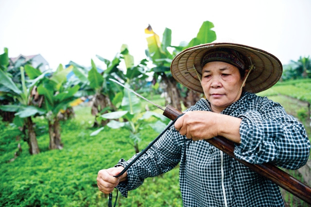 Những vật dụng rất đơn giản, chỉ là 1 con dao và 1 cây xào.