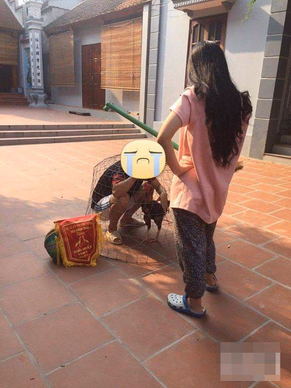 Ai bảo mê đá gà...