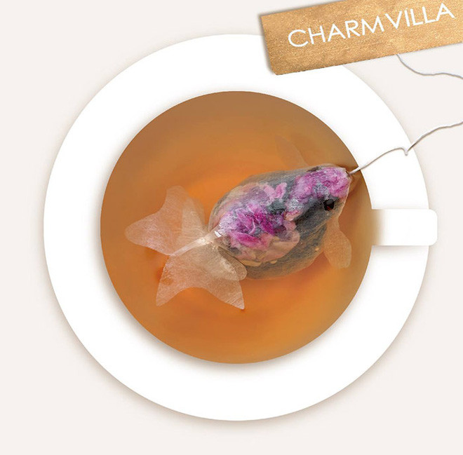 Ai cũng tò mò vì tưởng loài cá trong suốt kỳ lạ nhưng ngã ngửa khi biết sự thật - Ảnh 3. Ai cũng tò mò vì tưởng loài cá trong suốt kỳ lạ nhưng ngã ngửa khi biết sự thật - Ảnh 3.