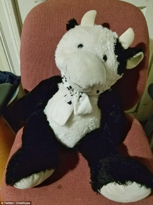  Con bò Luis đã ôm khi bị rơi ra ngoài cửa sổ 