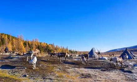 Cô gái Việt “nghiện” những nền văn hóa sắp biến mất