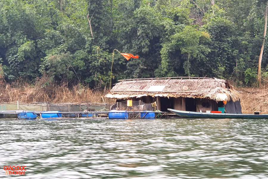 Người dân nuôi cá lồng trên lòng hồ thủy điện Hủa Na. Ảnh: Phạm Tâm.