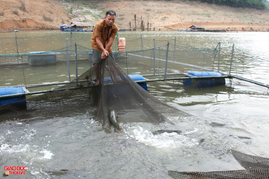 Nghề nuôi cá lồng đang trở thành mũi nhọn kinh tế giúp người dân 2 xã Đồng Văn và Thông Thụ xóa đói giảm nghèo. Ảnh: Phạm Tâm.