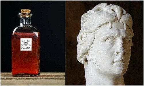 Hoàng đế La Mã liều lĩnh uống thuốc độc mỗi ngày để làm gì? hình ảnh 4 hoang de la ma lieu linh uong thuoc doc moi ngay de lam gi? hinh anh 4