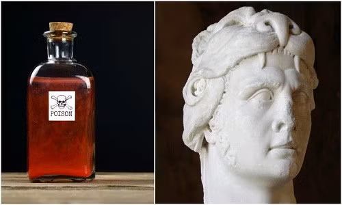 hoang de la ma lieu linh uong thuoc doc moi ngay de lam gi? hinh anh 4