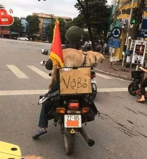 Cả gia tài của anh khi...