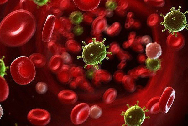 4 chất dinh dưỡng không thể thiếu với cơ thể, vắng 1 có thể gây ra bệnh ung thư nguy hiểm ảnh 1 4 chất dinh dưỡng không thể thiếu với cơ thể, vắng 1 có thể gây ra bệnh ung thư nguy hiểm ảnh 1