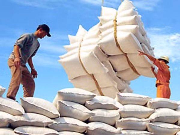 Thị trường gạo nóng lên từng ngày