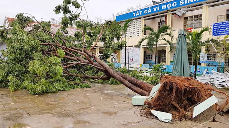 Chung tay ủng hộ học sinh vùng bão lũ