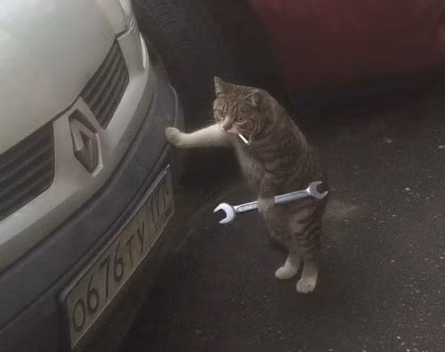 Thợ sửa xe bốn chân. 10-anh-hai-hot-nhat-facebook-trong-ngay-3