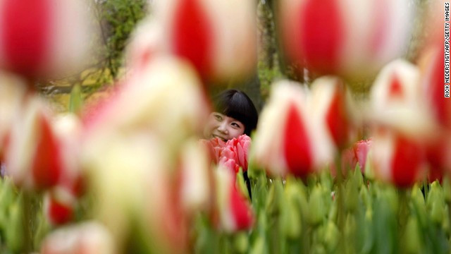 hạnh phúc, Đan Mạch, Úc