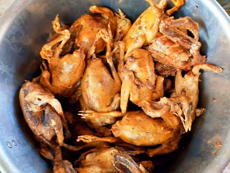 Nghi cháo bồ câu là món ăn gây ra ngộ độc thức ăn.