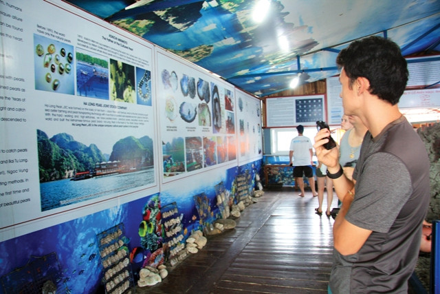 Du khách đang tham quan Bảo tàng thu nhỏ giới thiệu hình ảnh về quá trình sản xuất ngọc trai