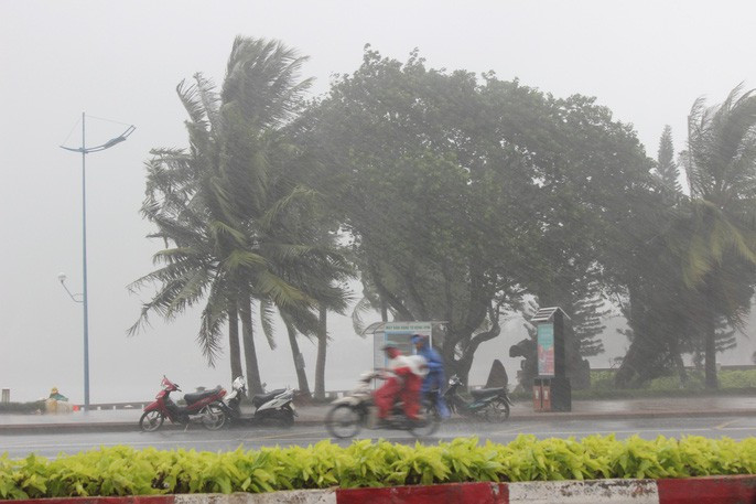 Bão đã vào Bà Rịa - Vũng Tàu, mưa rất to, cây ngã đổ, tàu chìm - Ảnh 1.