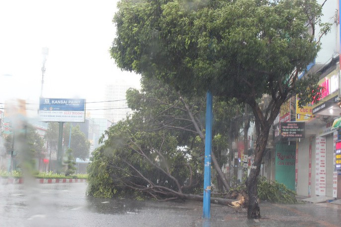 Bão số 9 vào Bà Rịa - Vũng Tàu: Mưa rất to, cây ngã đổ, tàu chìm