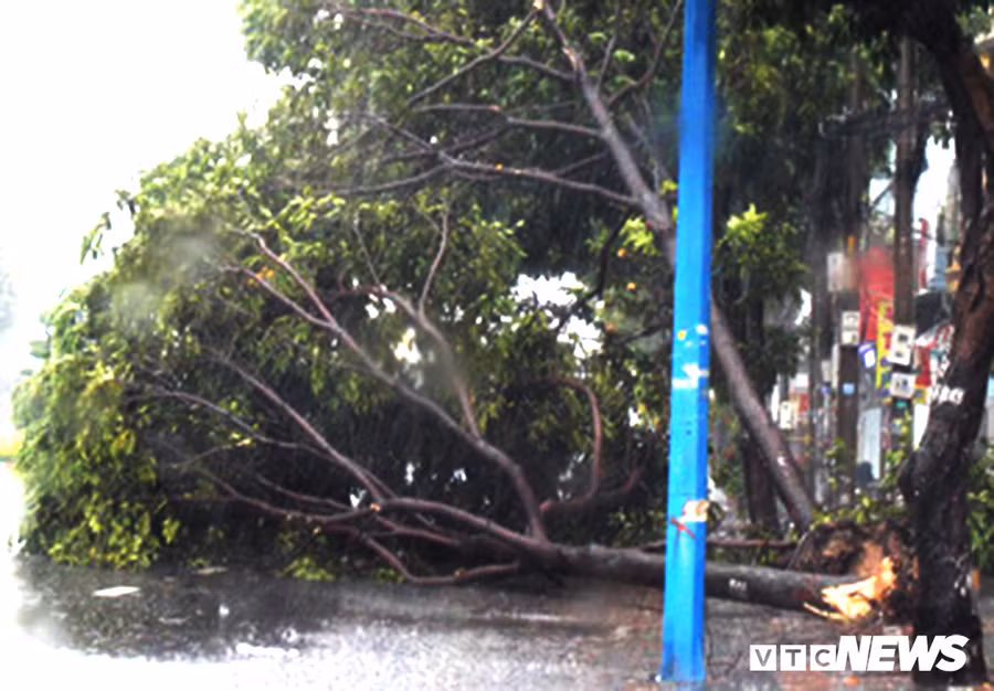 Bo truong Nguyen Xuan Cuong thi sat tai tam bao Ba Ria - Vung Tau hinh anh 2