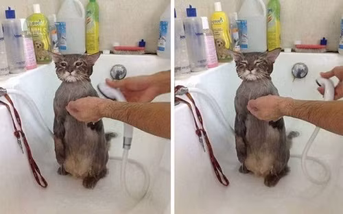 10-anh-hai-hot-nhat-facebook-trong-ngay-7