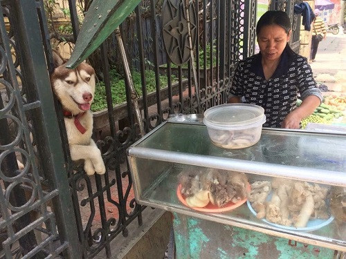 Khách hàng đặc biệt.