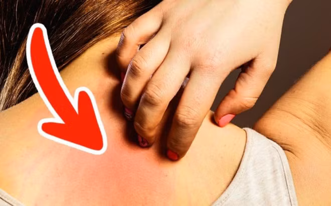 preview-14318760-650x341-98-1495021189-1495192985199-0-16-341-565-crop-1495192993587