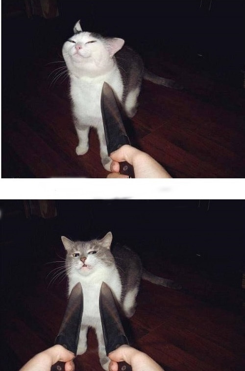 Kẻ thức thời mới là trang tuấn kiệt.