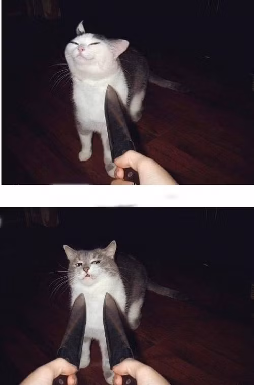 Kẻ thức thời mới là trang tuấn kiệt.