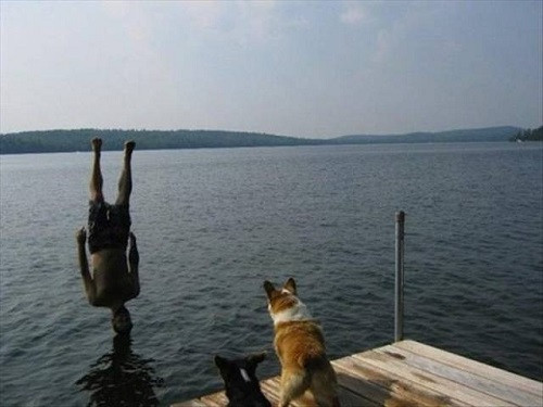 Nhìn kỹ nhé, anh chỉ làm mẫu một lần.