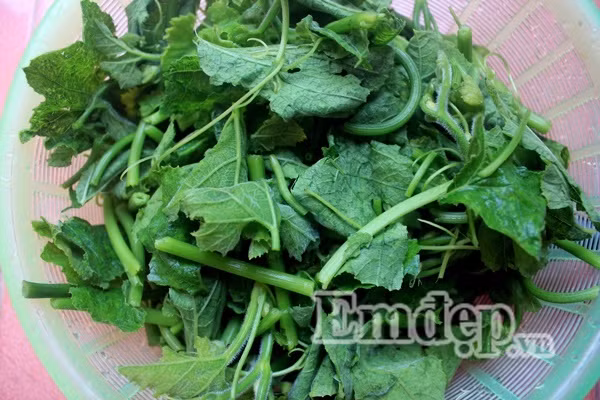 ra bí xào tôm nõn, rau xào, món ngon, món ngon đầu tuần