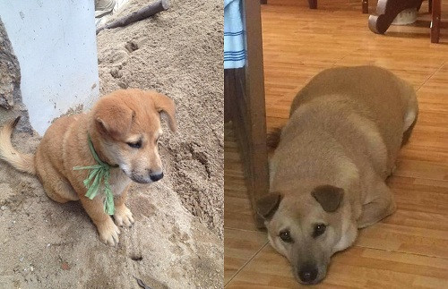 Dậy thì thành công. Dậy thì thành công sau ba tháng.