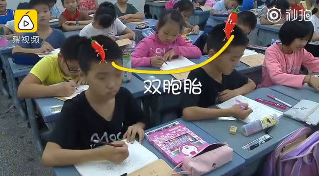 Trường tiểu học có hơn 20 cặp song sinh, khai giảng năm học mới từ cô giáo đến bạn học đều khó khăn khi phân biệt - Ảnh 3.