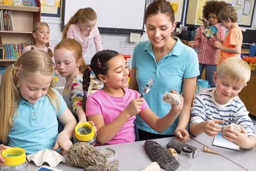 Ở Phần Lan nghề giáo rất được tôn trọng.
