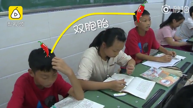 Trường tiểu học có hơn 20 cặp song sinh, khai giảng năm học mới từ cô giáo đến bạn học đều khó khăn khi phân biệt - Ảnh 4.