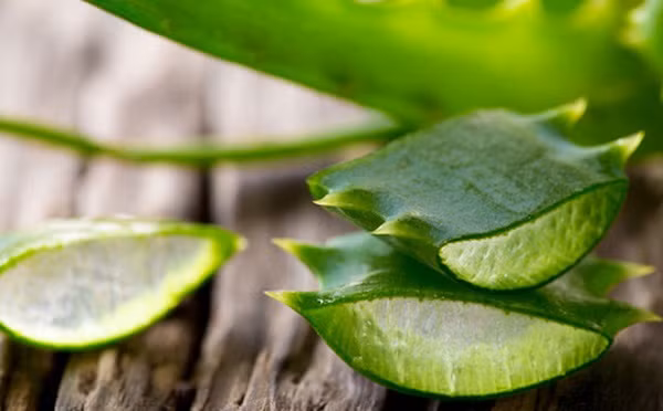 9 cách chữa cháy nắng “thần tốc” bằng những món đồ có trong tủ lạnh