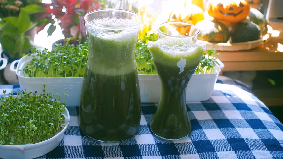 Nước ép mầm cải kale, táo xanh.