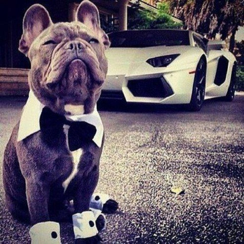 Không có gì ngoài điều kiện. Không có gì ngoài điều kiện.