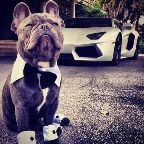 Không có gì ngoài điều kiện.