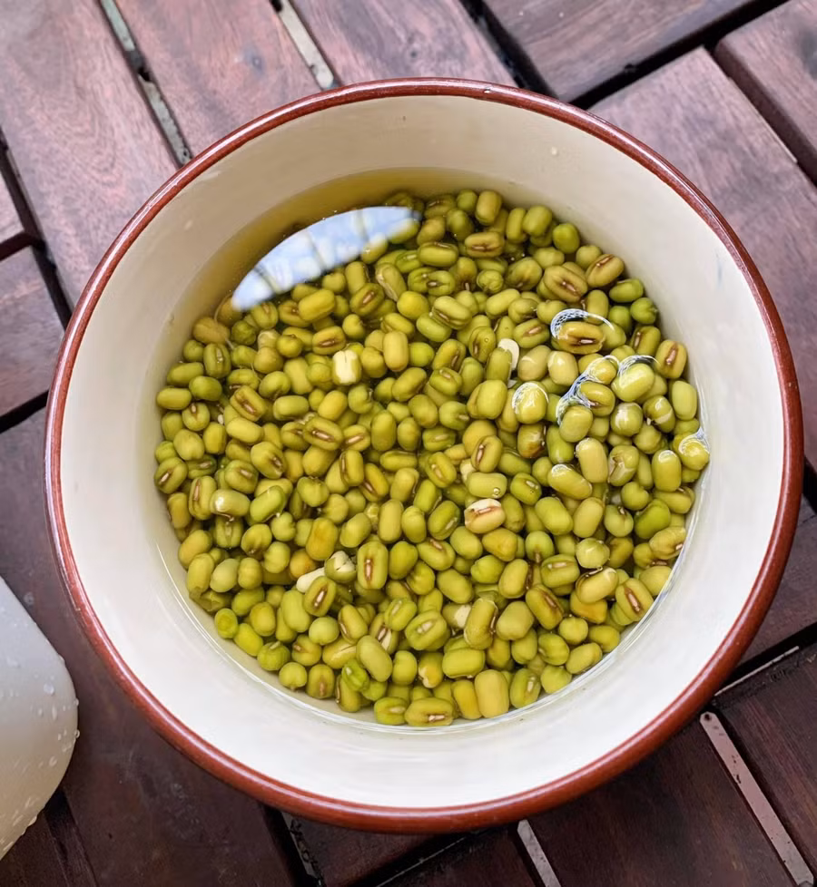 Đỗ sau khi ngâm xong đã nở.