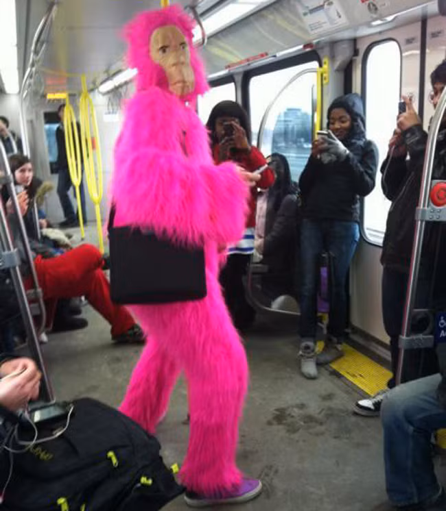 nga ngua voi cac thanh nien qua hon nhien noi cong cong hinh anh 4