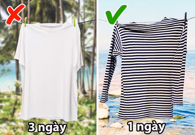Sớm biết 11 mẹo vặt cực hay ho này, quá trình giặt sấy của bạn sẽ đơn giản đến bất ngờ - Hình 3