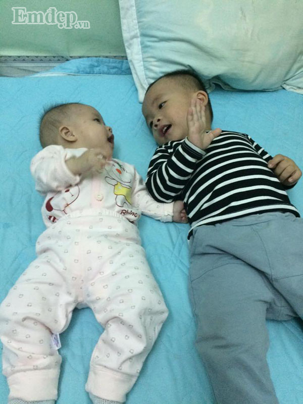 Các “bài thuốc” cực hay từ lá tía tô, không lo con ốm sốt trong mùa đông ảnh 2 Cây tía tô - thần dược cho những gia đình cho con nhỏ vượt qua mua đông lạnh không lo ốm sốt