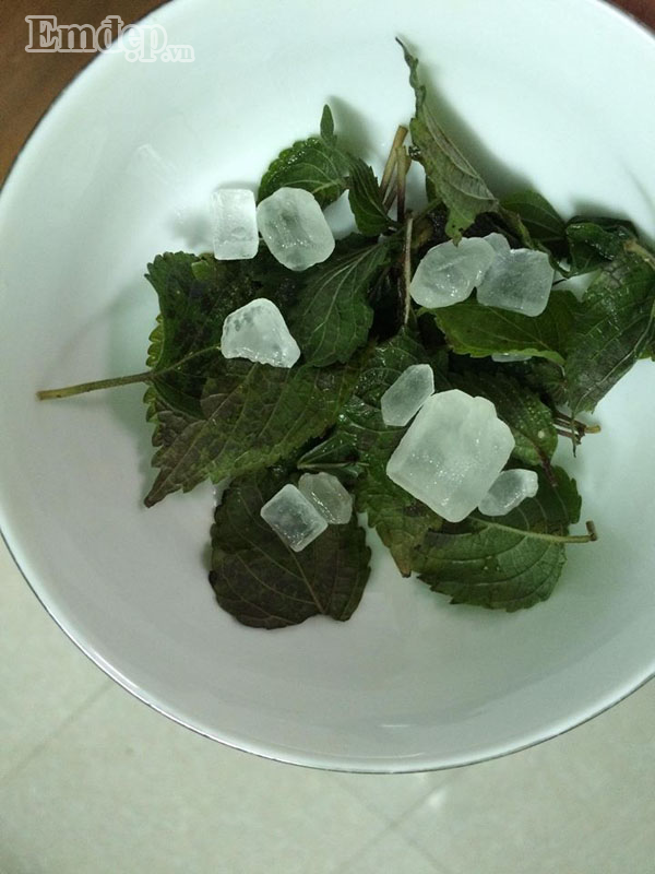 Các “bài thuốc” cực hay từ lá tía tô, không lo con ốm sốt trong mùa đông ảnh 3 Cây tía tô - thần dược cho những gia đình cho con nhỏ vượt qua mua đông lạnh không lo ốm sốt