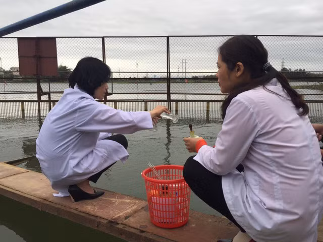 Lo hạn hán, Đà Nẵng đề nghị 4 thủy điện dừng phát điện