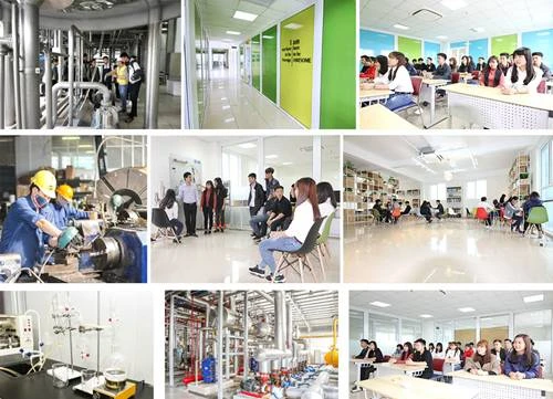 Đại học Công nghệ Đông Á – Ngôi trường Đại học nằm trong doanh nghiệp 