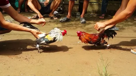 Ông Lê Chí Hưởng - nguyên Phó Bí thư Thường trực Đảng ủy, Chủ tịch HĐND phường 2, bị bãi nhiệm tư cách đại biểu HĐND TP Bạc Liêu. Ảnh minh họa