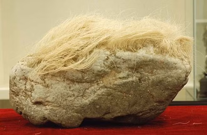 Mang “cục đá mọc tóc trắng” kỳ dị về nhà, người đàn ông giật mình khi phát hiện ra sự thật